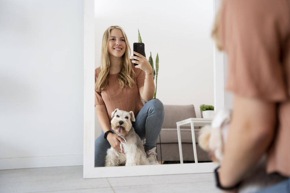 Mirror, Mirror: Can Pets Recognize Themselves on Reflections and Screens?