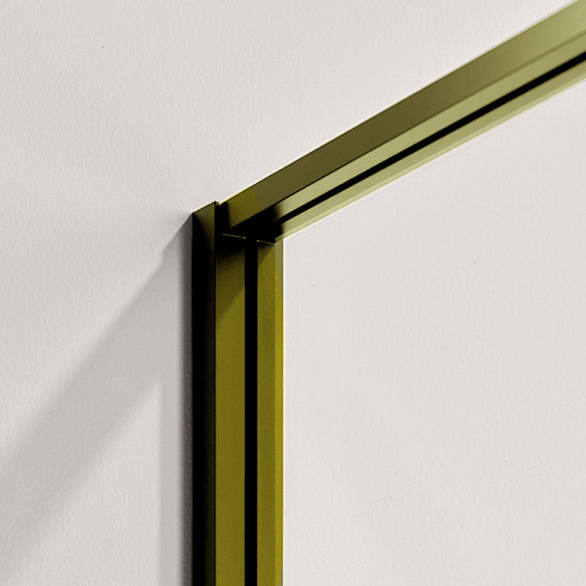 CAELUS Customize Inline Shower Door with Tempered Glass