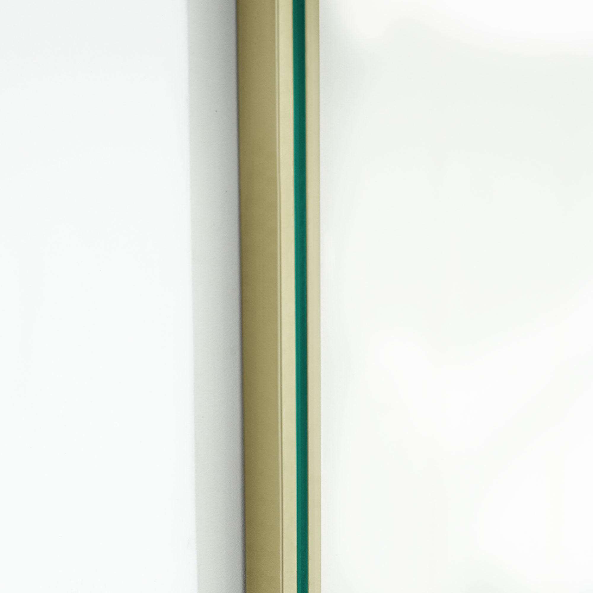 NOCTELLE Customize Inline Shower Door with Tempered Glass