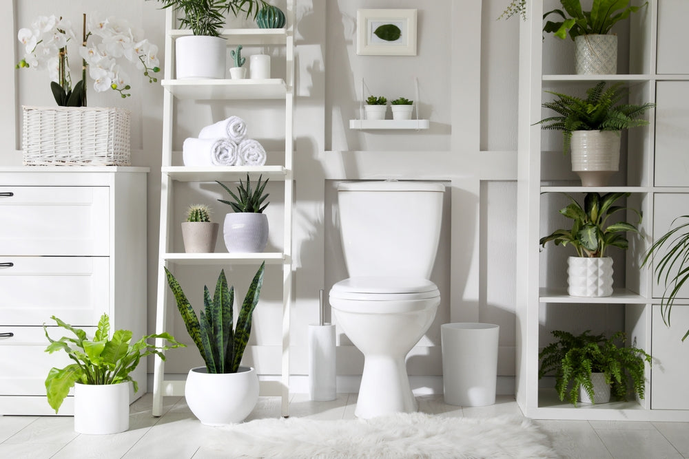 Boring Bathroom? 15 Ideas To Bling Up The Space Behind The Toilet Bowl!